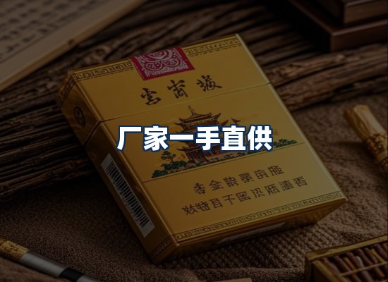 专业团队办公环境
